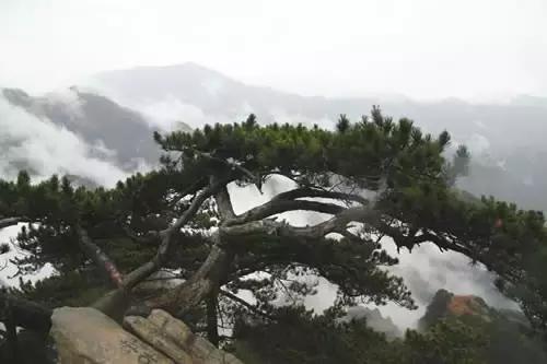竹溪山旅游攻略路线， 竹溪山旅游攻略路线图
