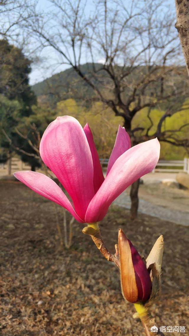 莱佛士设计学院（莱佛士设计学院世界排名）