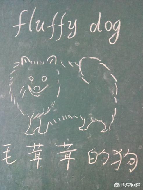 小狗简笔画彩色_小狗简笔画彩色 卡通