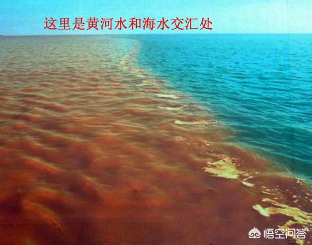 东营景点门票价格表， 东营 景点