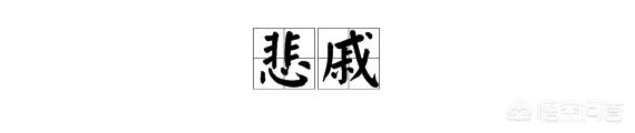 贤是什么意思(悲戚是什么意思)