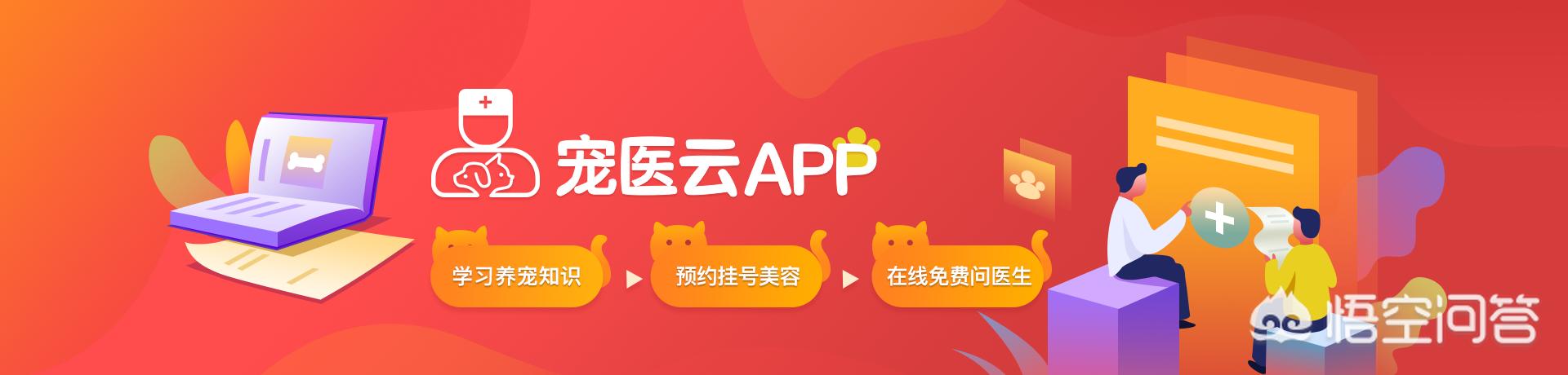 狗狗为什么爱抱人的大腿,第1张