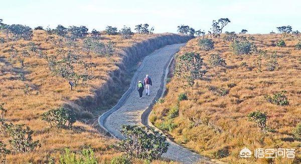 世界尽头的爱 世界尽头-第1张图片-Game优搜