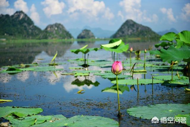 云南当地报团旅游一般多少钱,一家人去云南旅游要多少钱