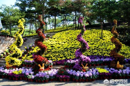 爱丁堡景点门票价格， 爱丁堡景点门票价格表