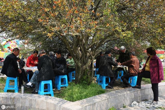 花卉苗圃地除草 树木有哪些