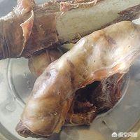 自驾游新疆马场路线，自驾游新疆马场路线图