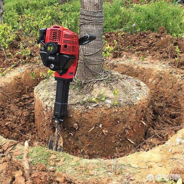 苗木花卉基地 施肥注意事项 养护方案