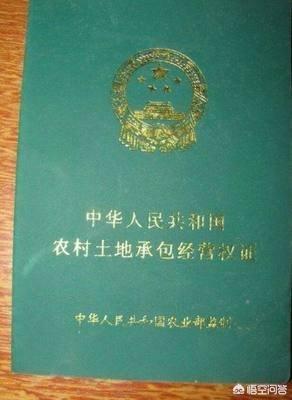 买地合同协议书怎么写(图3)