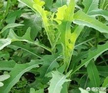 济南市看湿疹哪个医院好