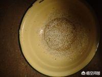 芝麻绿豆怎么吃比较好(图8)