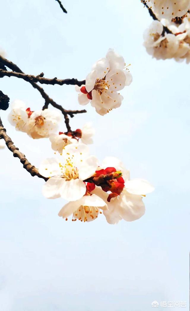宝宝多大可以吃辅食（宝宝多大可以吃辅食比较好）