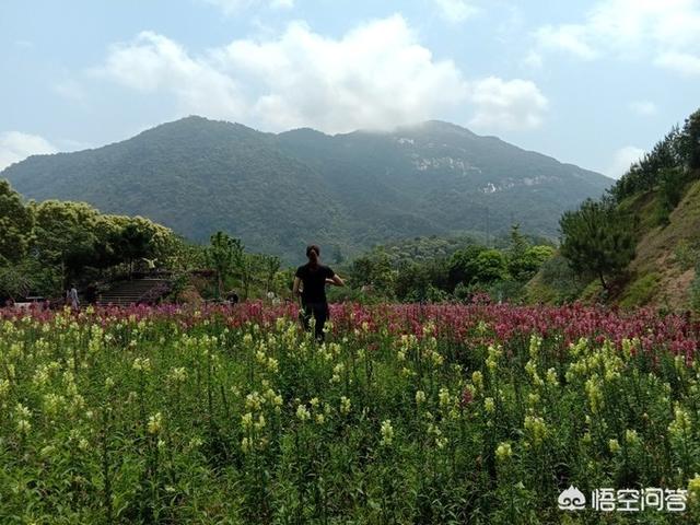 从化旅游景点大全排名自驾， 从化旅游景点大全排名免费
