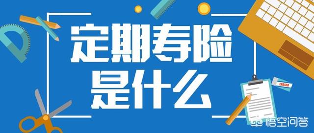 中国人寿定期寿险保费，中国人寿定期寿险保费怎么算