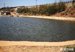 云南昆明市呈贡区吃饭钓鱼游玩口碑好的农家乐最新推荐,呈贡附近钓鱼农家乐