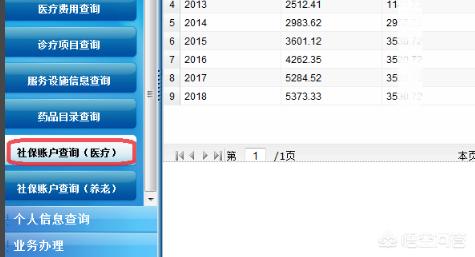 社会保险费查询服务，社会保险费查询系统