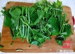 龙须菜做法凉拌菜的做法(图2)