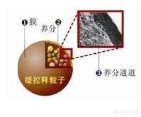 作物施肥原理与技术知识点,作物施肥原理与技术知识点总结