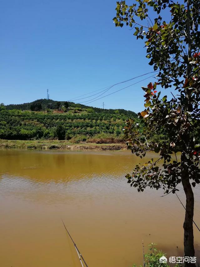 和平水库自驾游路线，和平水库自驾游路线图