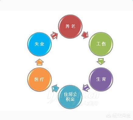 公司给交的五险一金怎么查询，公司给交的五险一金怎么查询支付宝