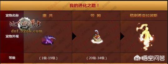 地下城宠物撒共是什么？DNF撒共可以进化几次？