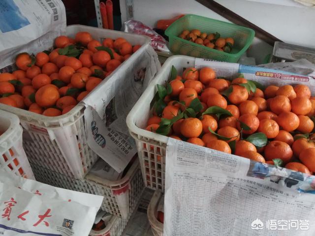 优质水果怎么卖给客户的(图2)