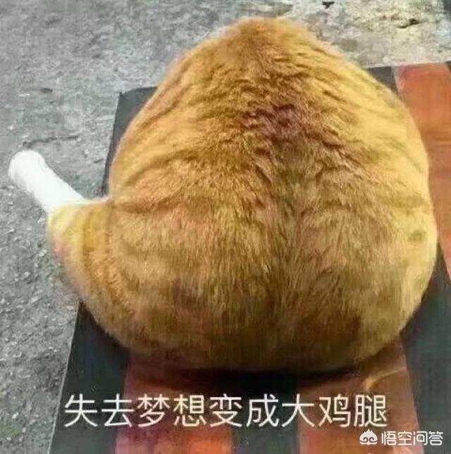 星座最完美搭配男生头像(图9)