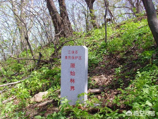 沈阳抚顺景点门票价格多少， 沈阳抚顺景点门票价格多少钱