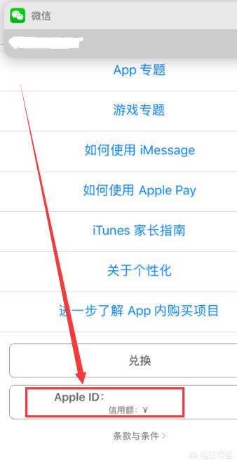 苹果免密支付怎么关闭(图3)