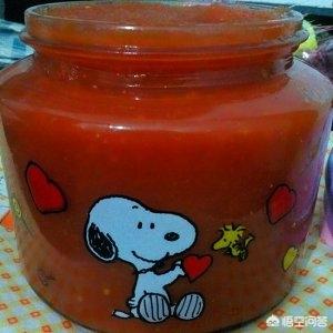 儿童在家吃西红柿怎么做(图7)