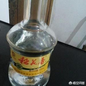儿童在家吃西红柿怎么做(图6)