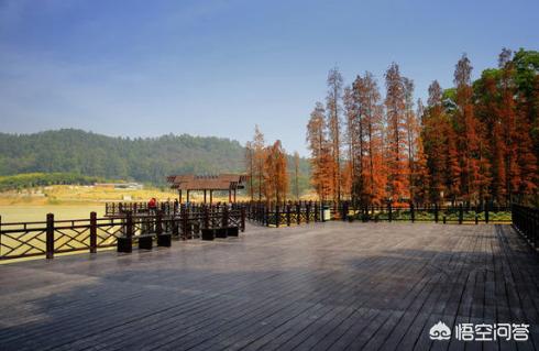 广州坐高铁可以去哪里旅游,广州坐高铁可以去哪里旅游呢