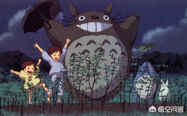 龙猫是什么动物 龙猫-第2张图片-随然AIR主题