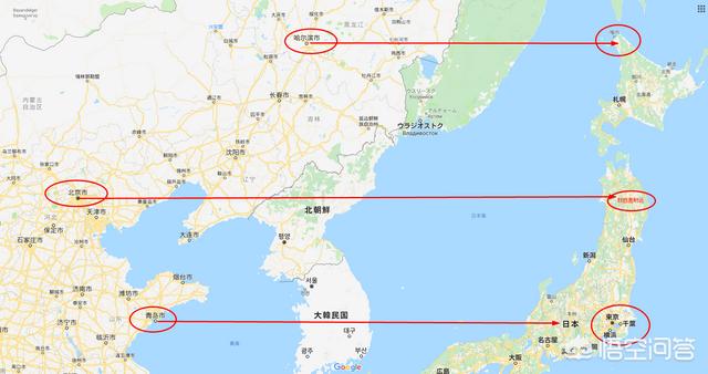 大象生活在什么地方？：在哪个