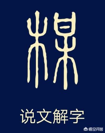 梅小篆字体