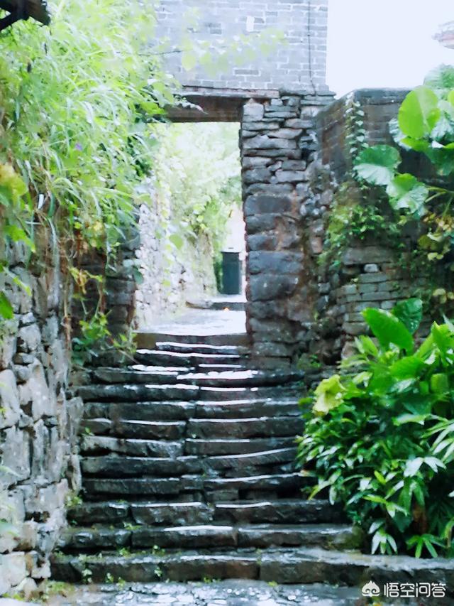 长沙市宁乡市纸飞机账号购买建议