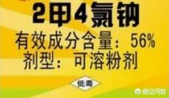 王者荣耀4杀玩法，王者荣耀杀玩法和三国杀对比