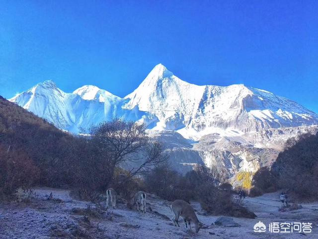 乐山出发-色达稻城亚丁自驾游旅游线路攻略