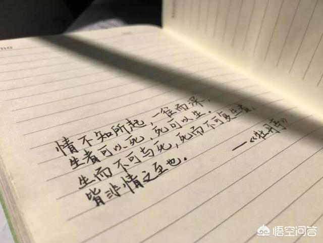 天天说故事（天天故事网）