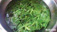 菠菜炒鸡蛋-菠菜炒鸡蛋怎么炒好吃