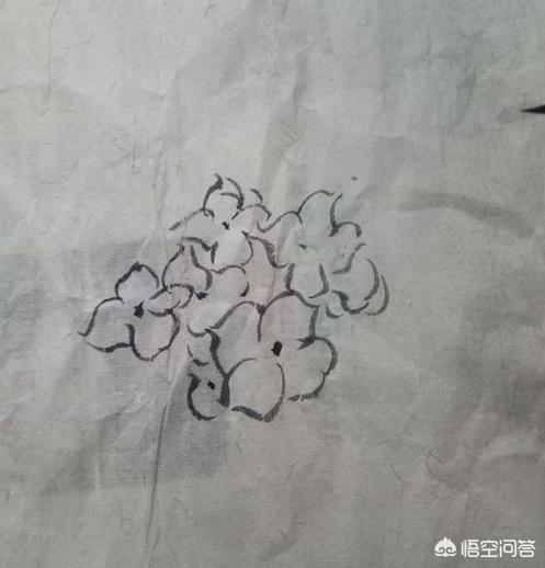 花朵画法大全-花朵画法大全图片