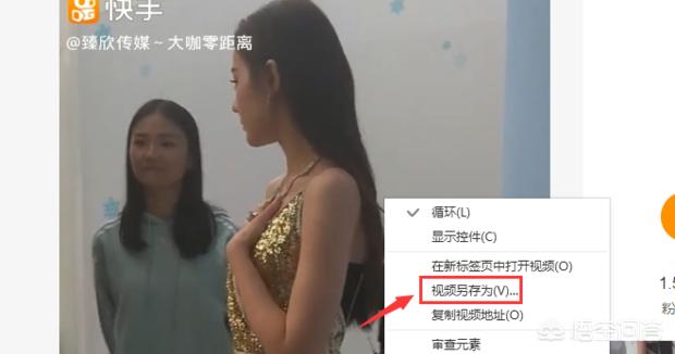 [快手视频下载器]请问什么软件可以把快手视频下载下来？