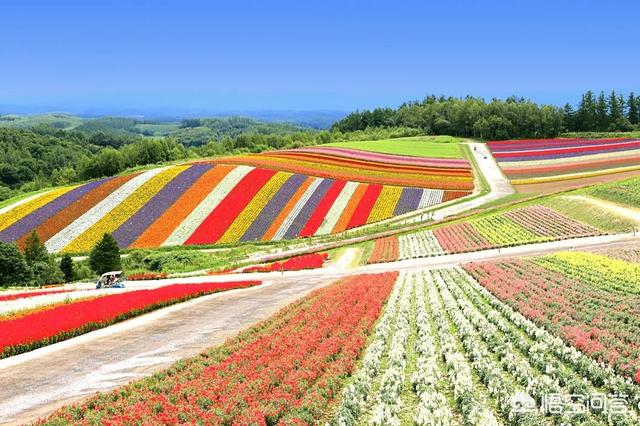 日本北海道，天气最冷是几度，最热是几度，各是几月份