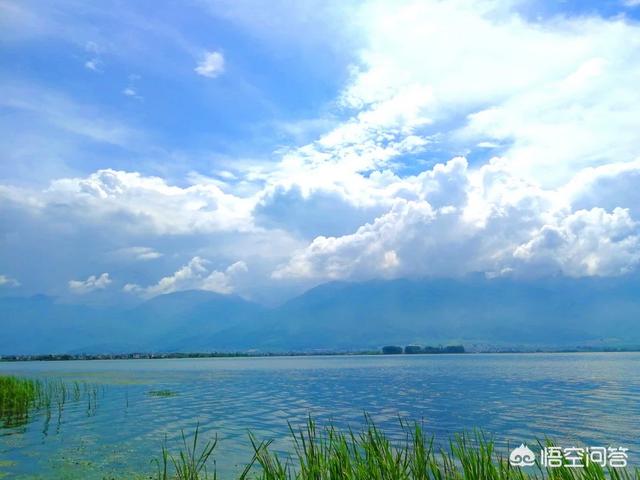 长沙市宁乡市纸飞机账号购买建议