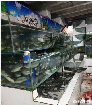 兰州海鲜市场在哪儿？