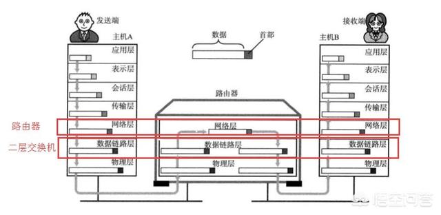 交换机交换机的作用与功能