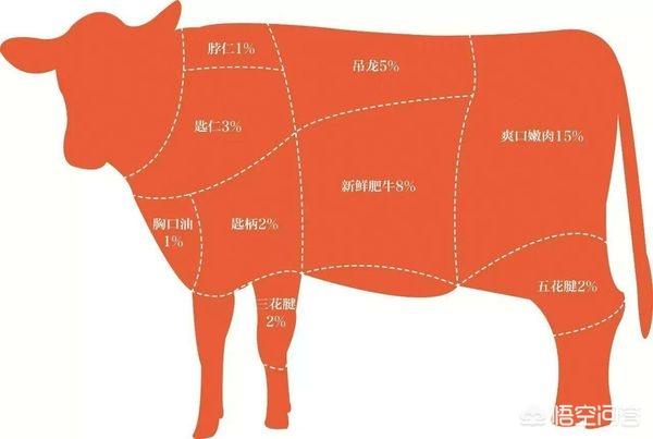 匙仁是牛的什么部位 匙仁是牛的哪个部位？