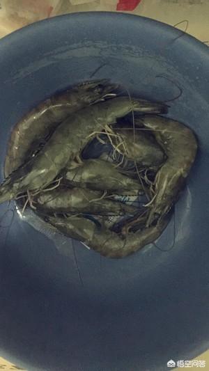 虾粥的做法-虾粥的做法大全简单