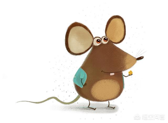 四面楚歌是指什么动物（四面楚歌打一特马）