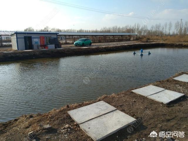 长春市农安县纸飞机账号购买渠道